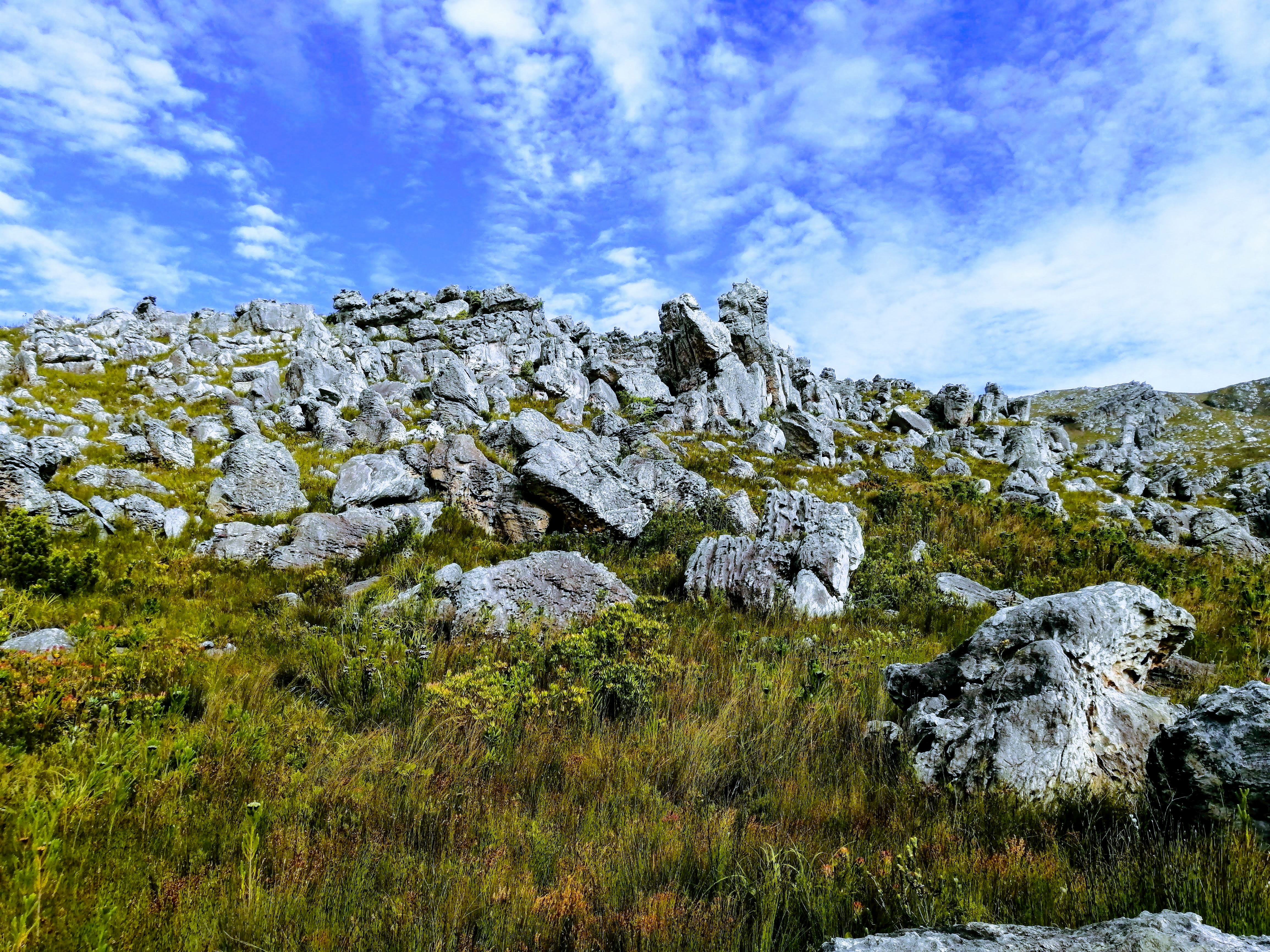 Kogelberg Rocks